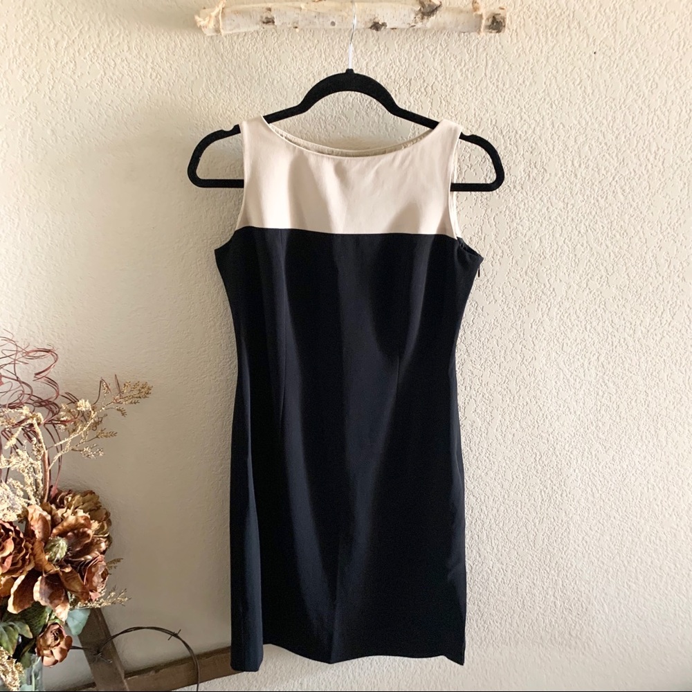 Ann Taylor Sheath Color Block Dress